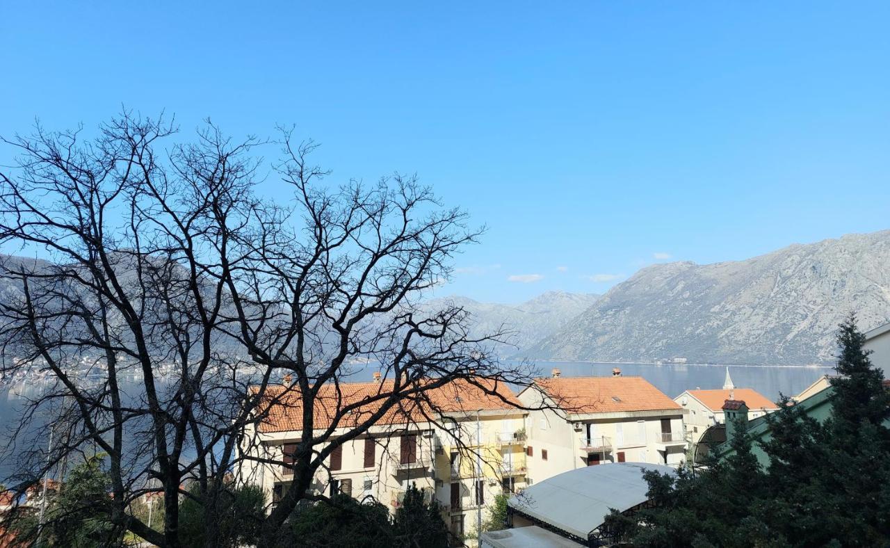 Apartman - Dobrota Sun Apartment Kotor Luaran gambar